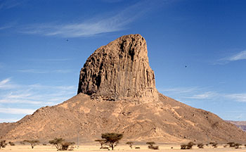 Programme : Régionale 2 D.2 (Tamanrasset)