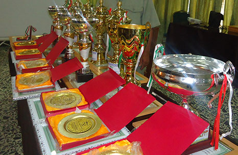 La cérémonie de remise des prix et récompenses