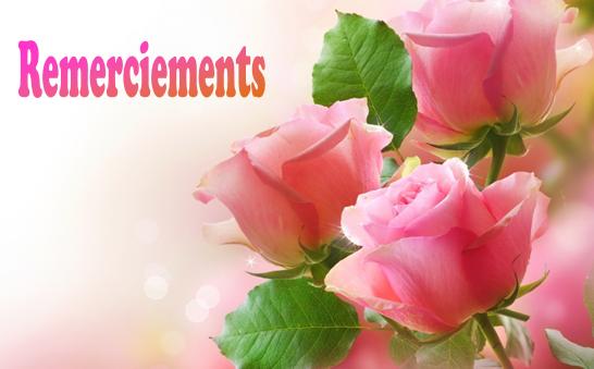 Remerciements