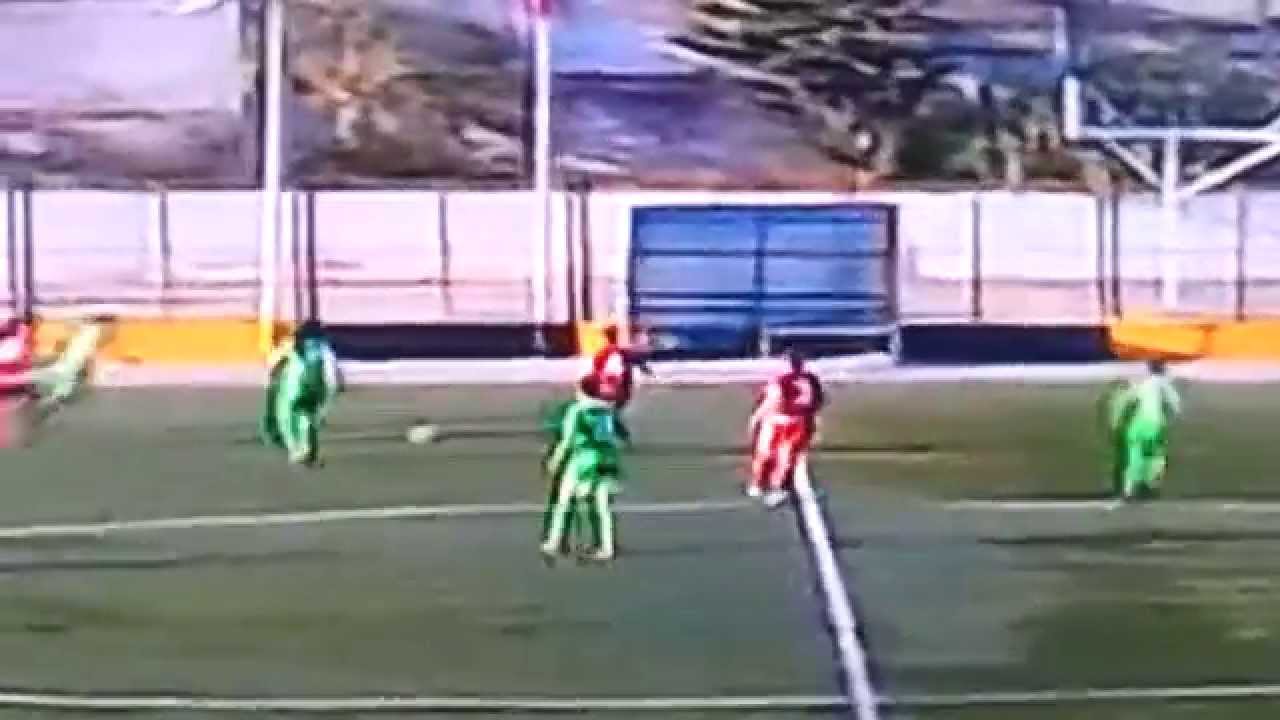 كرة القدم النسوية